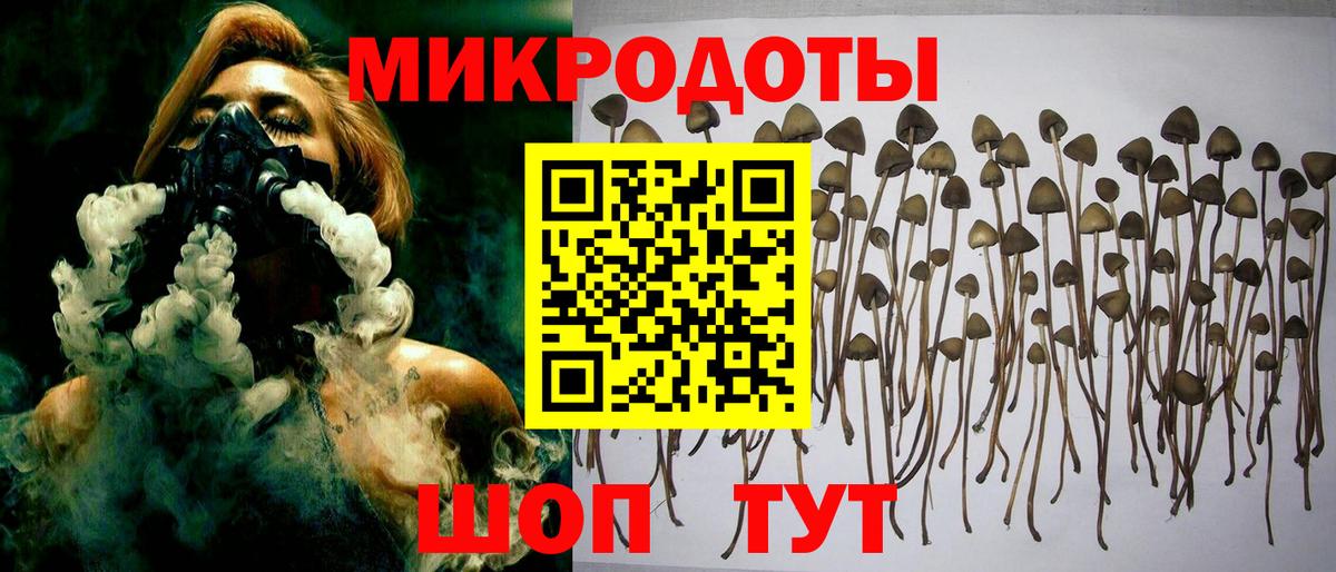 Галлюциногенные грибы MAGIC MUSHROOMS  Вход с VPN  Псилоцибиновые грибы Cubensis  Джанкой 